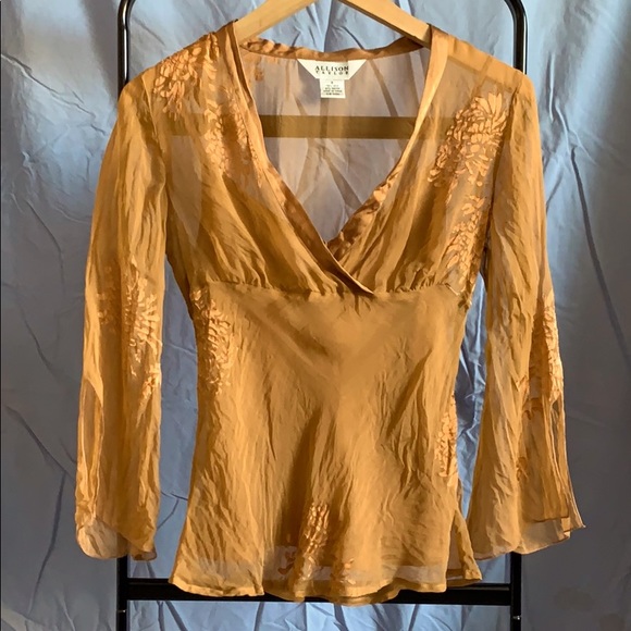 Allison Taylor Tops - Sheer silk velvet blouse